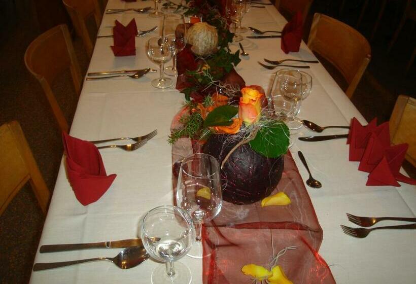 غرفة قياسية, Alpina