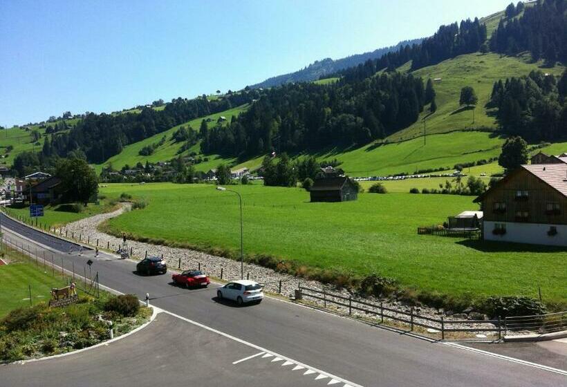 غرفة قياسية, Alpina