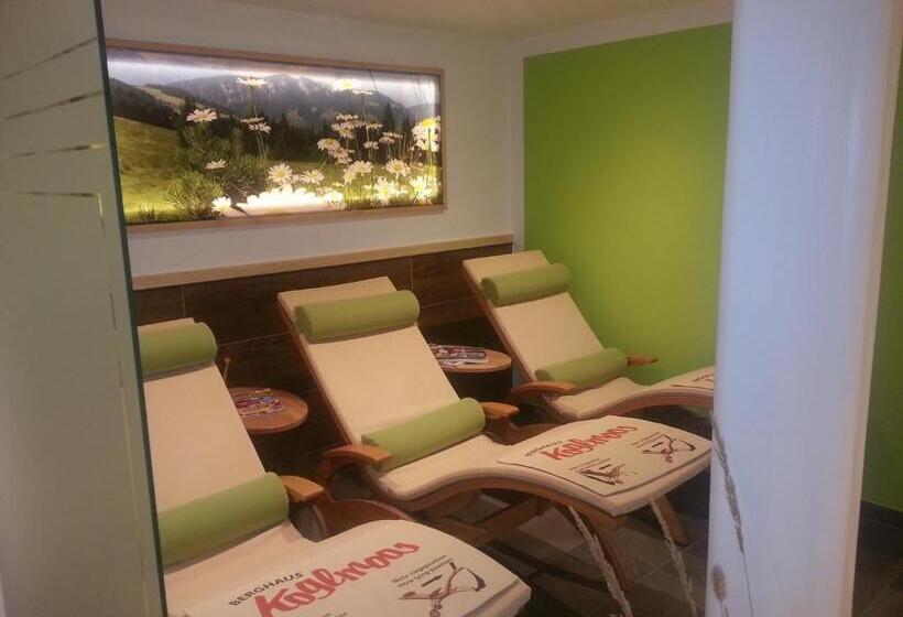 带阳台两卧公寓, Berghaus Koglmoos