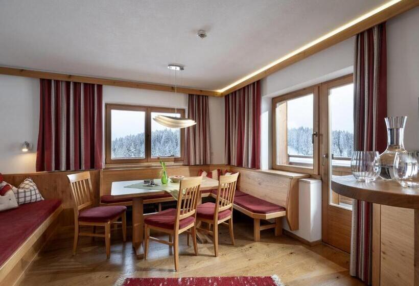 带阳台两卧公寓, Berghaus Koglmoos