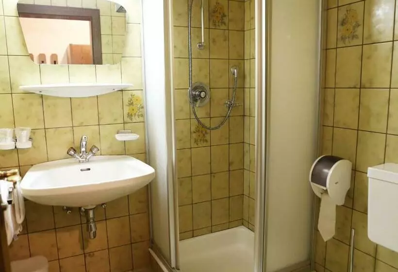 Economy-huone, Gasthof Pension Madseiterhof