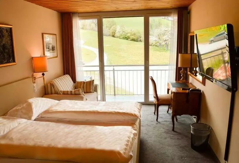 اتاق استاندارد با چشمانداز کوهستان, Hillsite Smart Hotel Flims