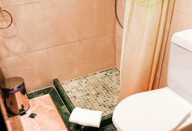 غرفة قياسية مطلة على الجبل, Hillsite Smart Hotel Flims