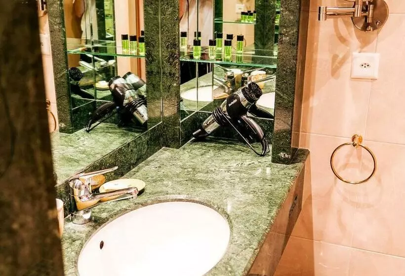 اتاق استاندارد با چشمانداز کوهستان, Hillsite Smart Hotel Flims