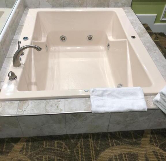 جناح سرير كينج, Inn Of The Dove Cherry Hill  Philadelphia