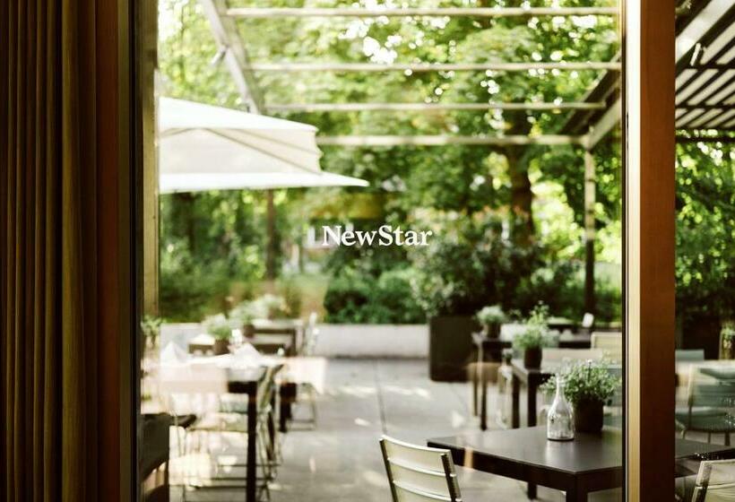 スタンダードシングルルーム, Newstar