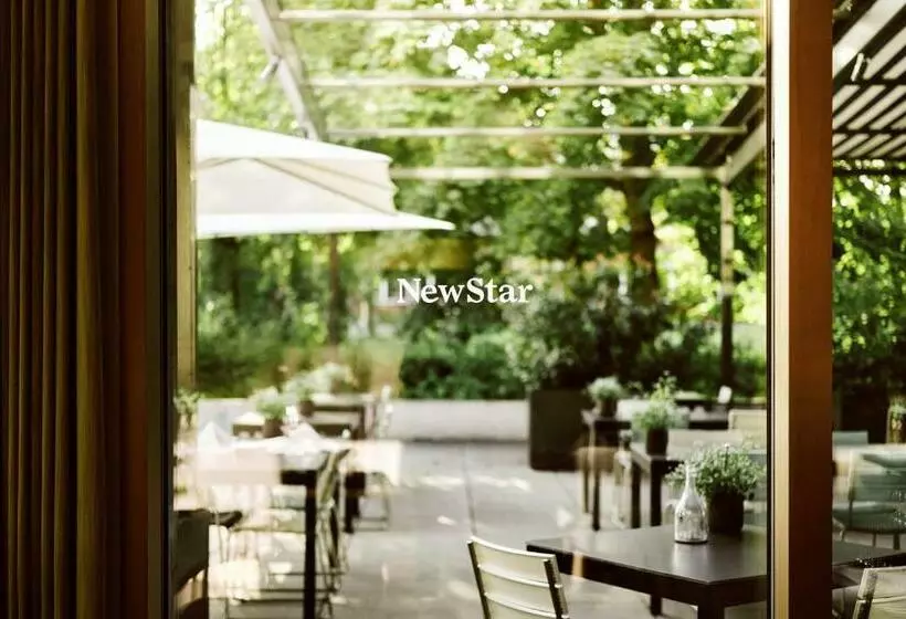 اتاق استاندارد یک نفره, Newstar