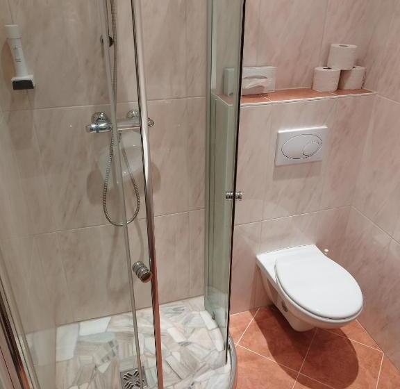 标准单人间, Pension Kandolf