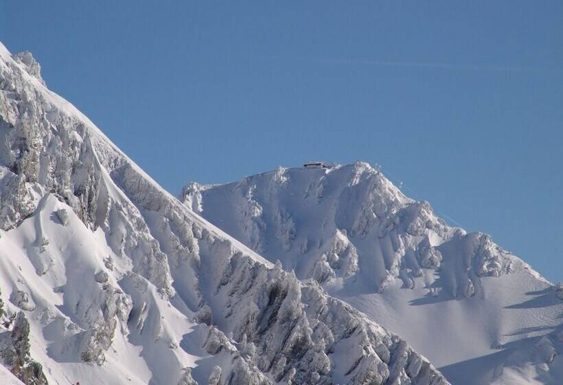 スタンダードシングルルーム, Schindler