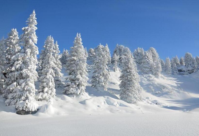 شقة غرفة نوم واحدة مزودة بشُرفة, Villa Natur