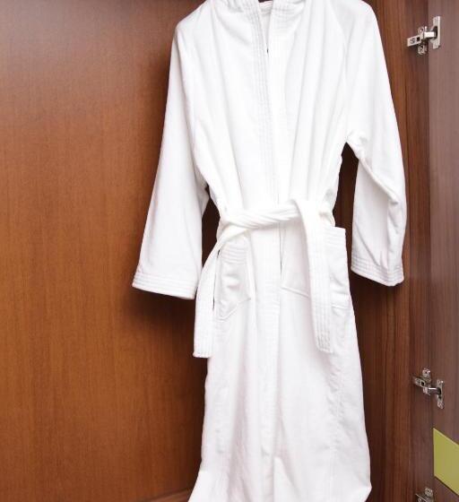 اتاق استاندارد برای معلولان, Primus Hotel & Apartments