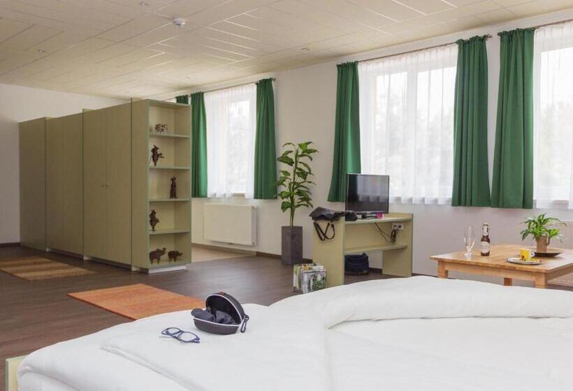 1ベッドルームアパートメント, Winrooms Hotel&appartement