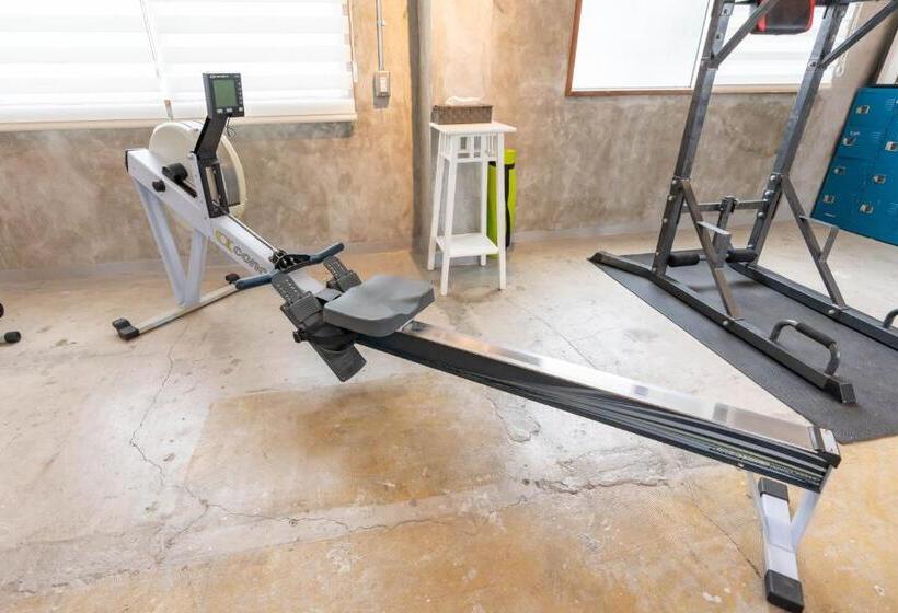 Apartament Superior 1 Dormitori, U.house