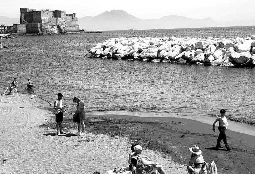 استودیوی استاندارد, Alma Megaris