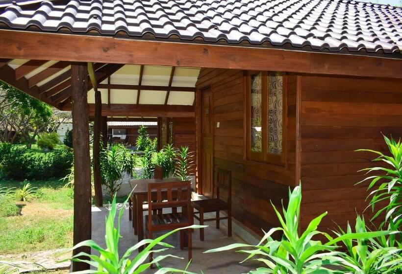 오두막, High Park