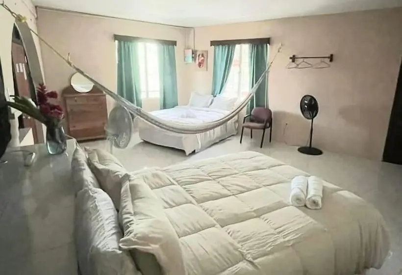 اتاق خانوادگی, Arnold's Guest House