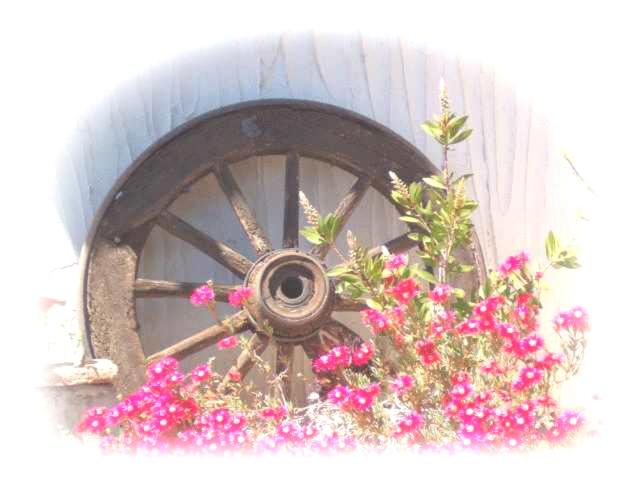 חדר דלוקס נוף לגינה, B&b Da Giusy