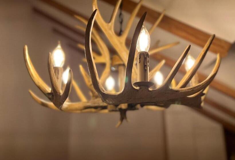 מיטת קינג בסוויטה, Chestnut Hill