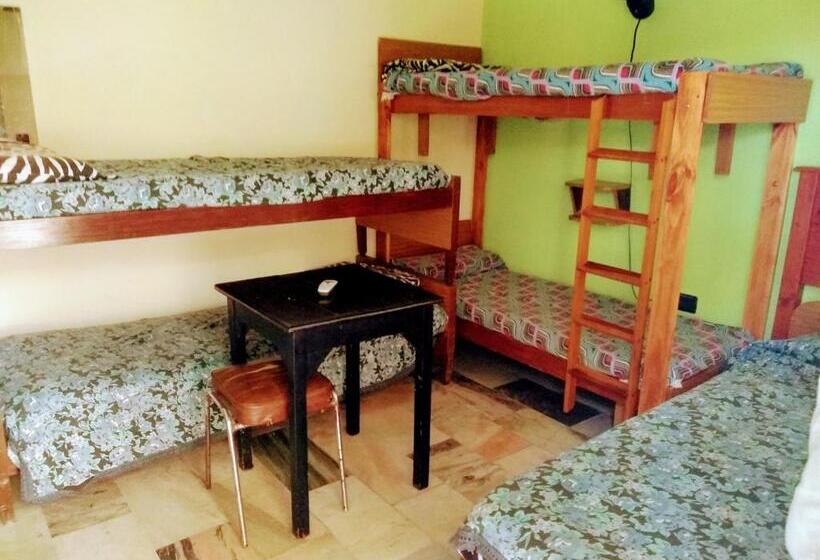 Семейный Номер, Hostel Megaró