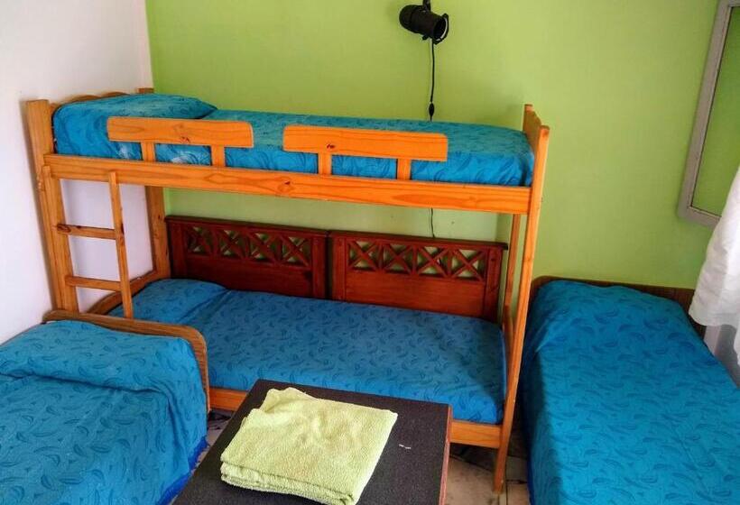 Четырехместный Номер Стандарт, Hostel Megaró