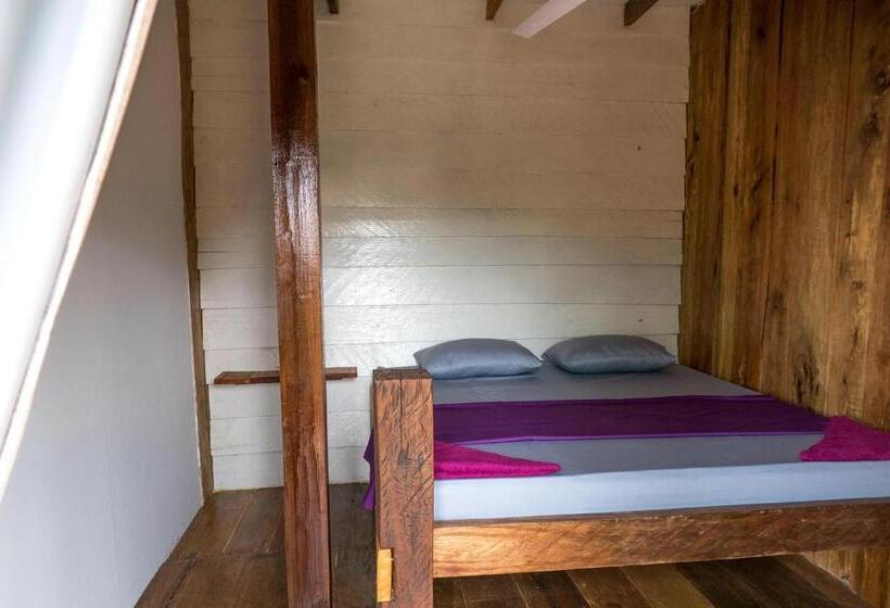 اتاق استاندارد, Two Ducks