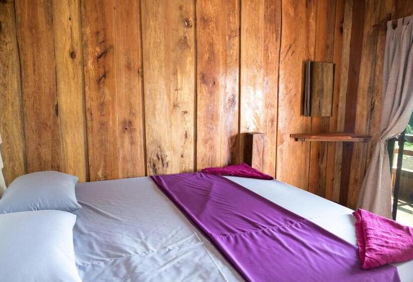 Quarto Estandar, Two Ducks