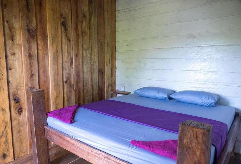 اتاق استاندارد, Two Ducks