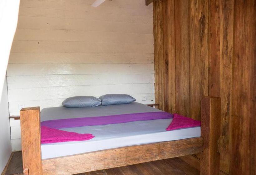 Quarto Estandar, Two Ducks