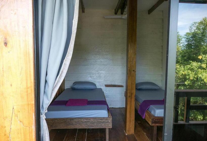 Quarto Estandar, Two Ducks