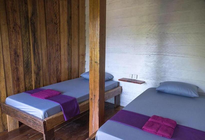 Camera Standard, Two Ducks