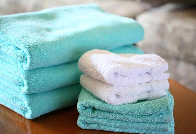 غرفة قياسية, Karuizawa Hotel Soyokaze