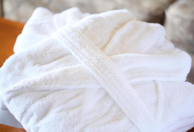 جناح مزوَّد بشرفة, Karuizawa Hotel Soyokaze