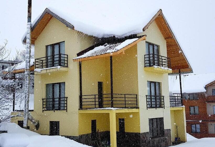 آپارتمان 1 خوابه, Gudauri Guest House Lane