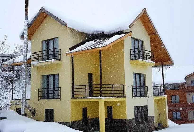 آپارتمان 1 خوابه, Gudauri Guest House Lane