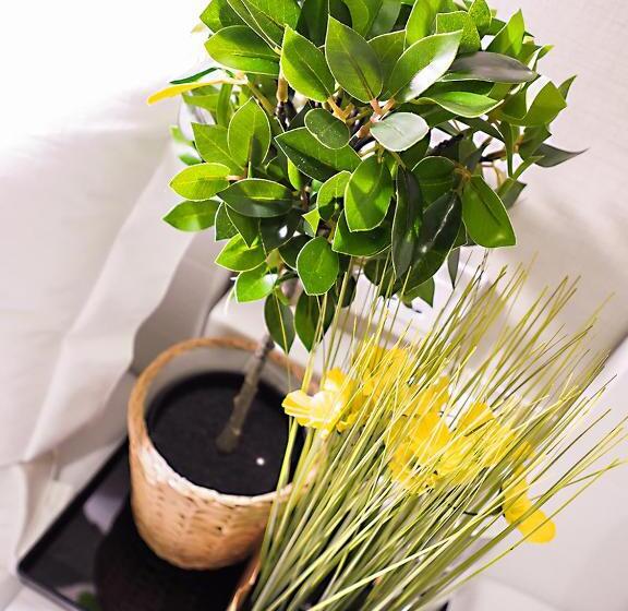 اتاق استاندارد چهار تخته, Hk International Hostel