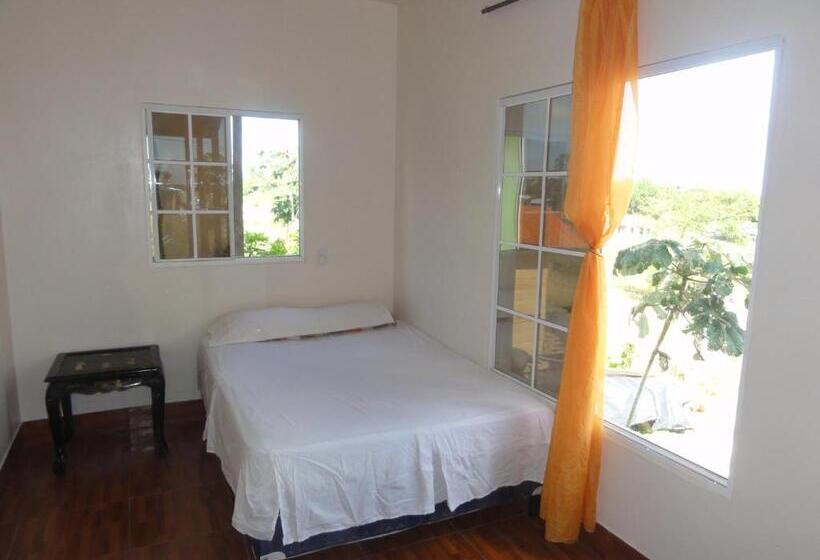 اتاق لوکس, Amy S Room