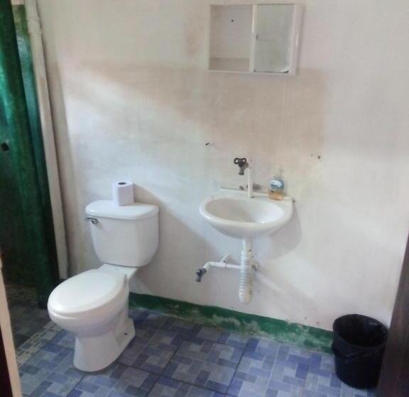 اتاق استاندارد, Amy S Room