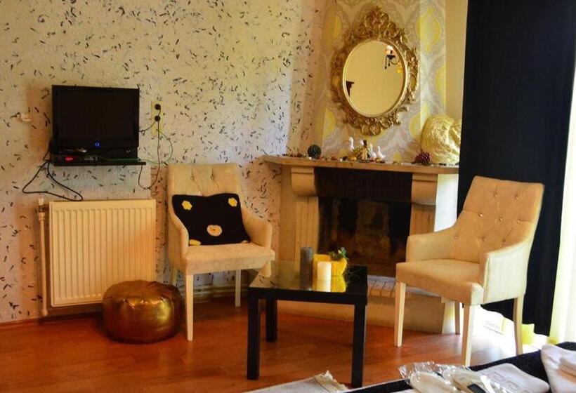 スタンダードルーム, Butterfly Boutique Hotel Ağva