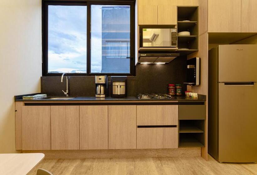 آپارتمان 1 خوابه با بالکن, Homero 1410 By Royal Home Polanco