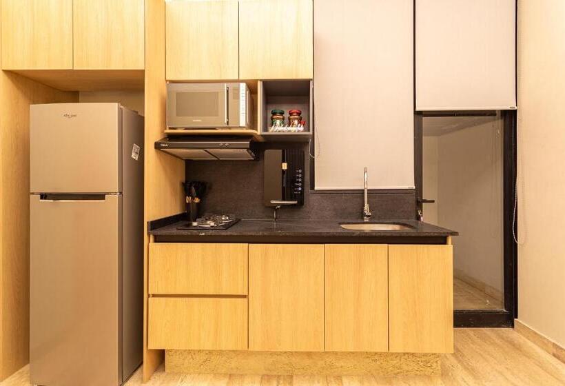 آپارتمان 1 خوابه با تراس, Homero 1410 By Royal Home Polanco