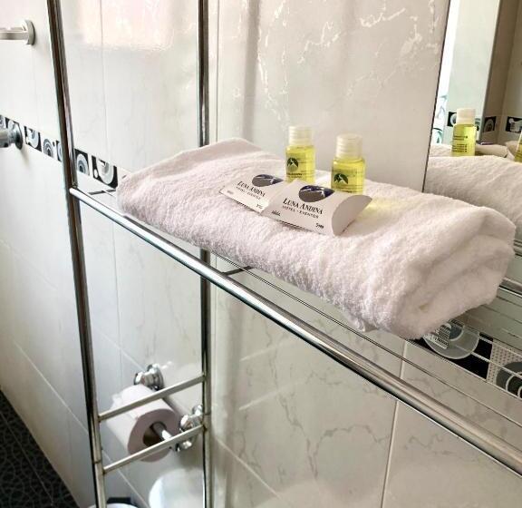 스탠다드 룸, Luna Andina