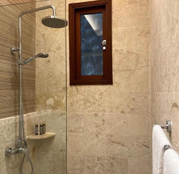 استودیوی لوکس, Boutique Hotel Casa Grande