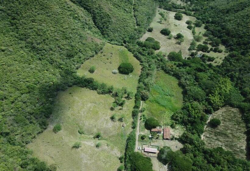 Четырехместный Номер Стандарт, Hacienda La Tulia Eco