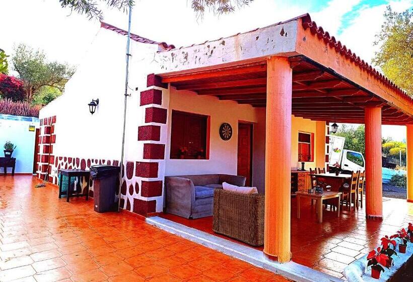 חדר סטנדרט, Django