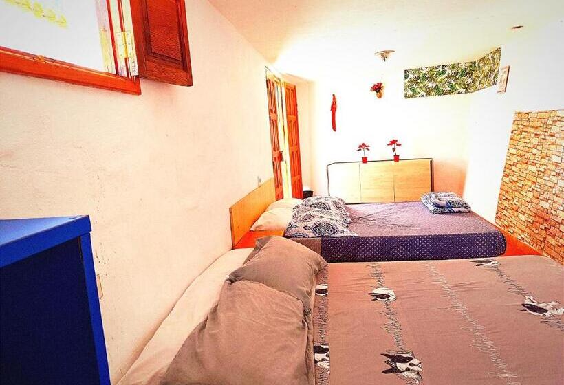 סטודיו משפחתי, Django