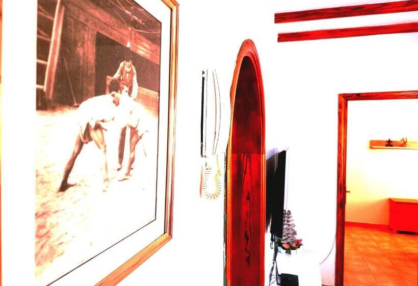 סטודיו משפחתי, Django