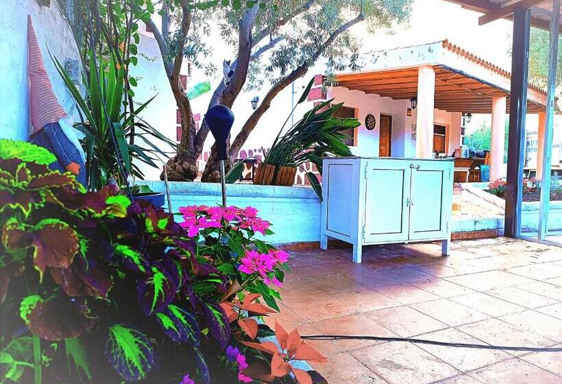 חדר סטנדרט לשלושה, Django