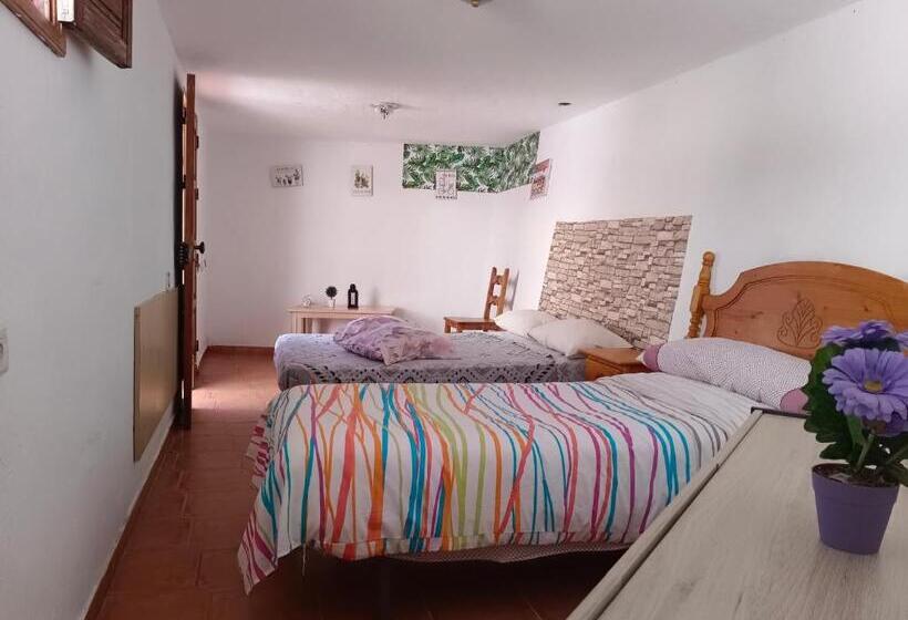 סטודיו משפחתי, Django