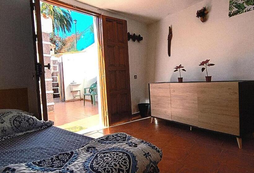 סטודיו משפחתי, Django