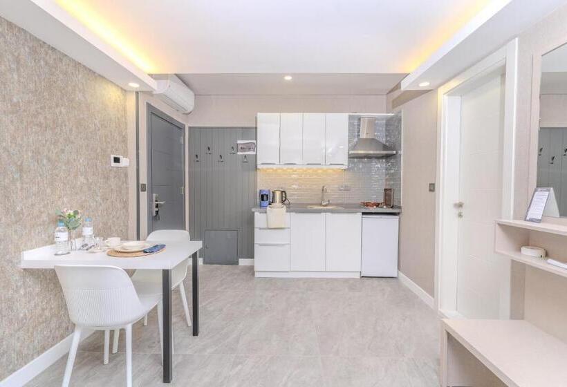 带露台的标准工作室, Olea Suites Otel